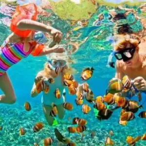 Glass Bottom Boat and Snorkeling in Montego Bay