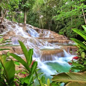 Dunn’s River Falls & Dolphin Cove, Ocho Rios, Jamaica